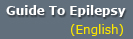 eng-epilepsy